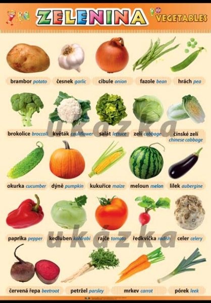 Zelenina - Vegetables (nástěnná tabule 100x70 cm)
